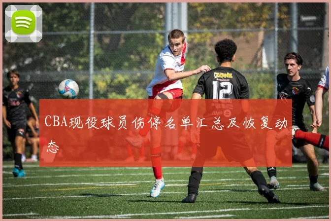 CBA现役球员伤停名单汇总及恢复动态