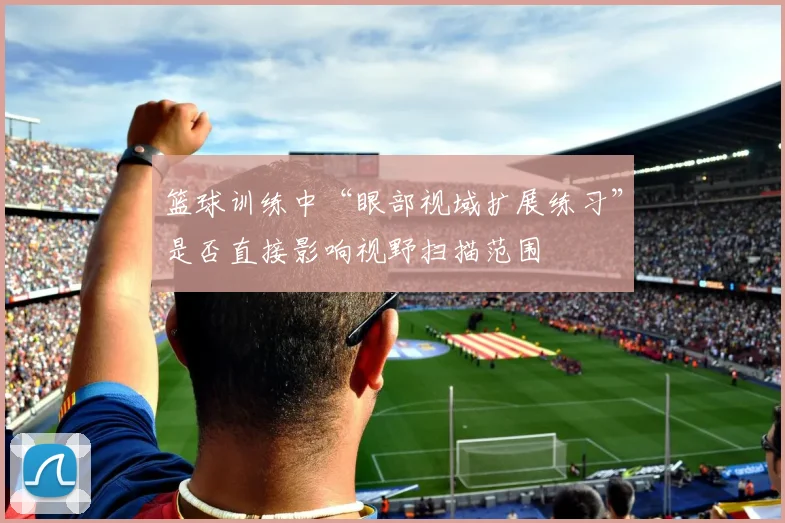 篮球训练中“眼部视域扩展练习”是否直接影响视野扫描范围