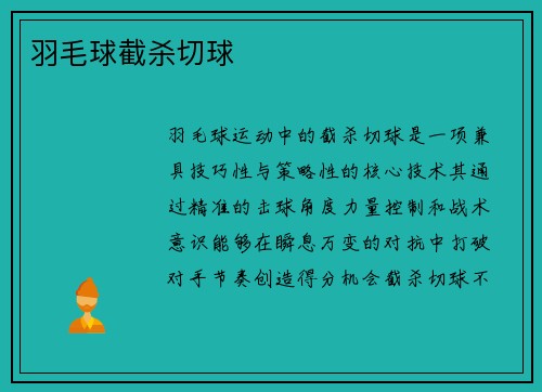 羽毛球截杀切球